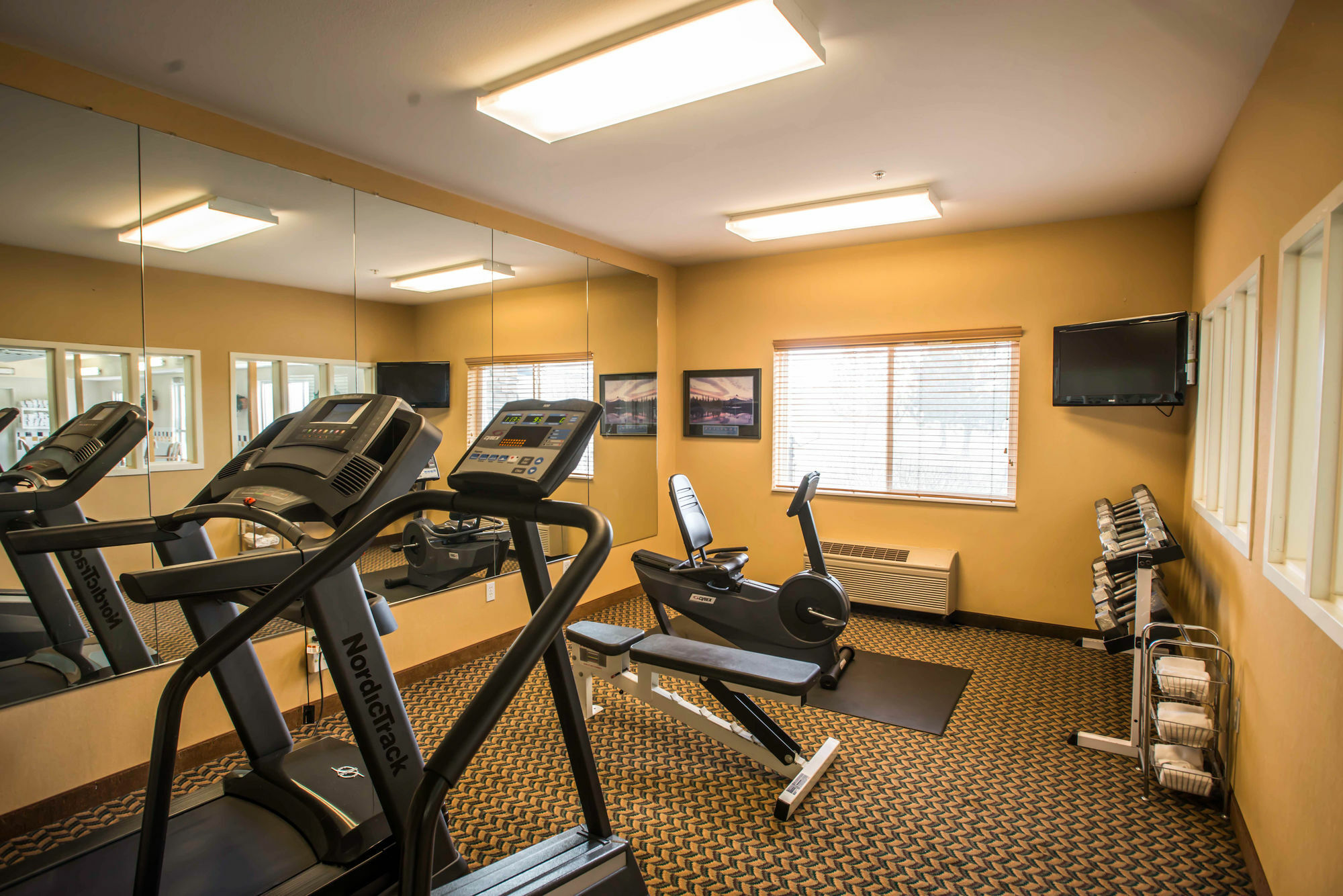 Comfort Inn Fort Collins North Εξωτερικό φωτογραφία