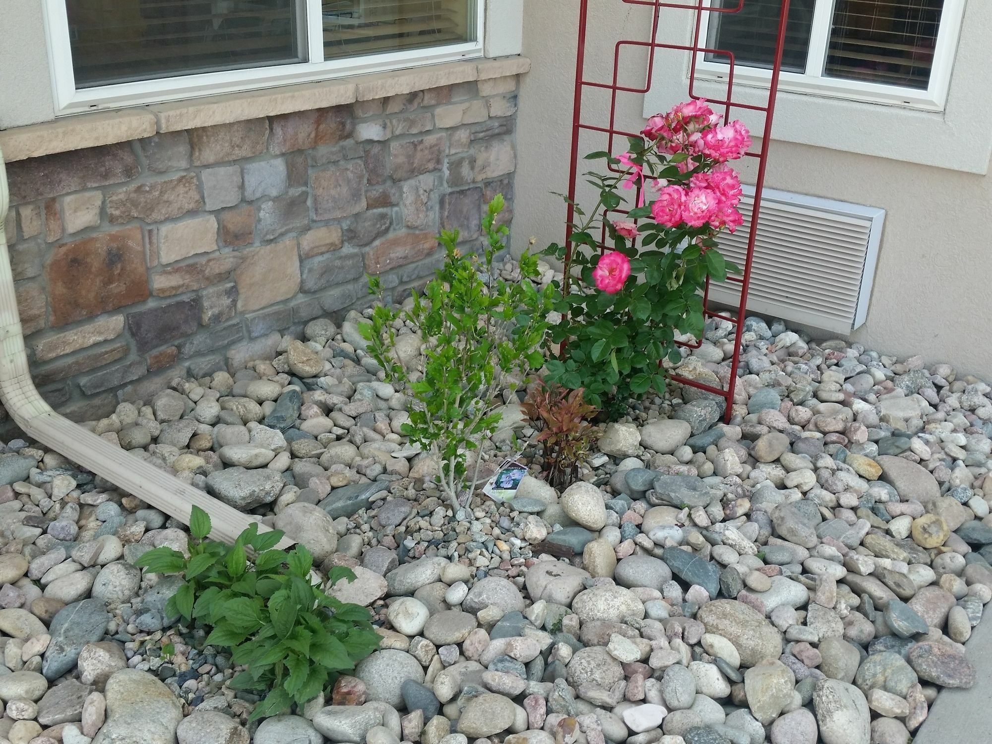 Comfort Inn Fort Collins North Εξωτερικό φωτογραφία