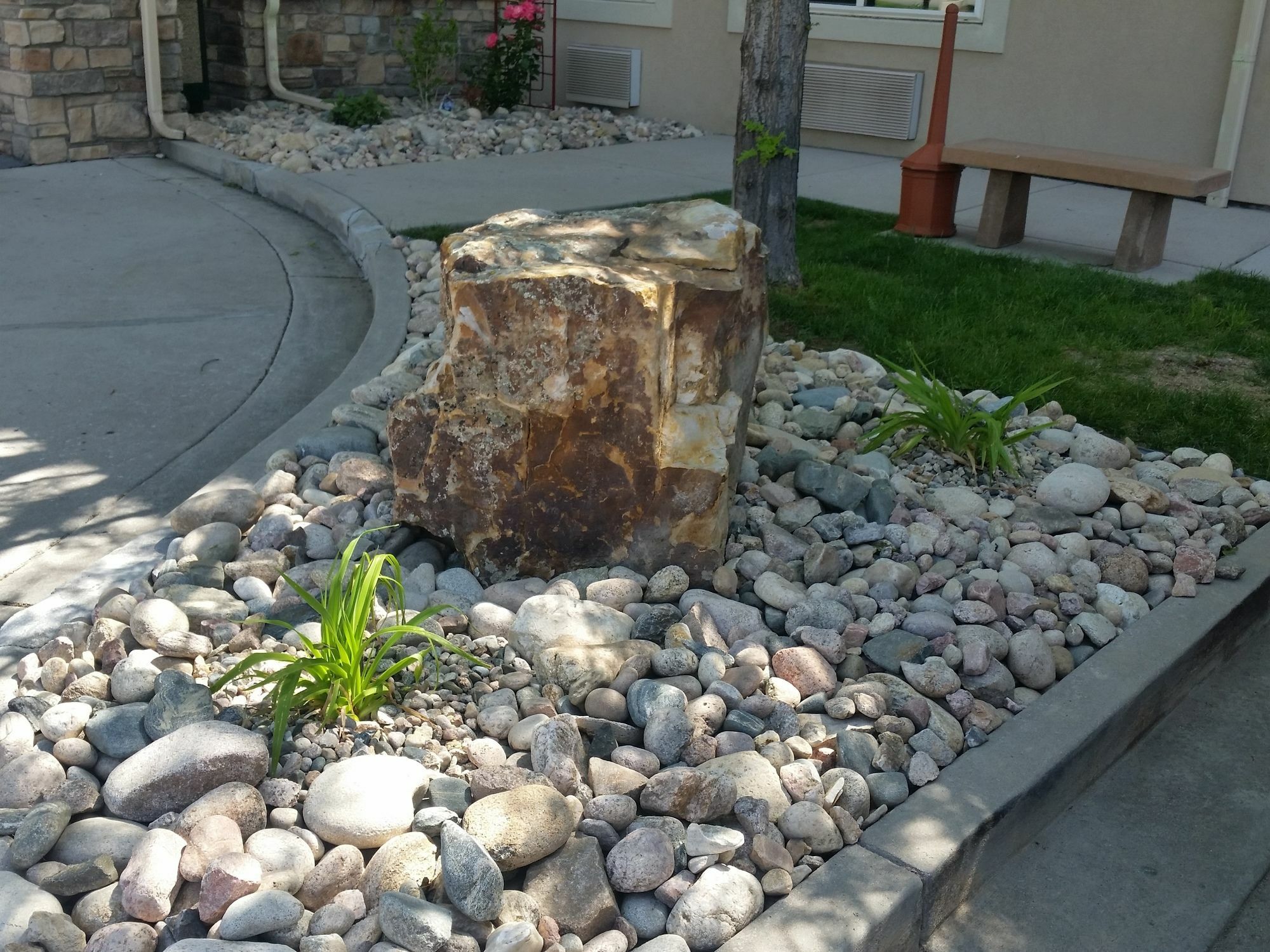 Comfort Inn Fort Collins North Εξωτερικό φωτογραφία